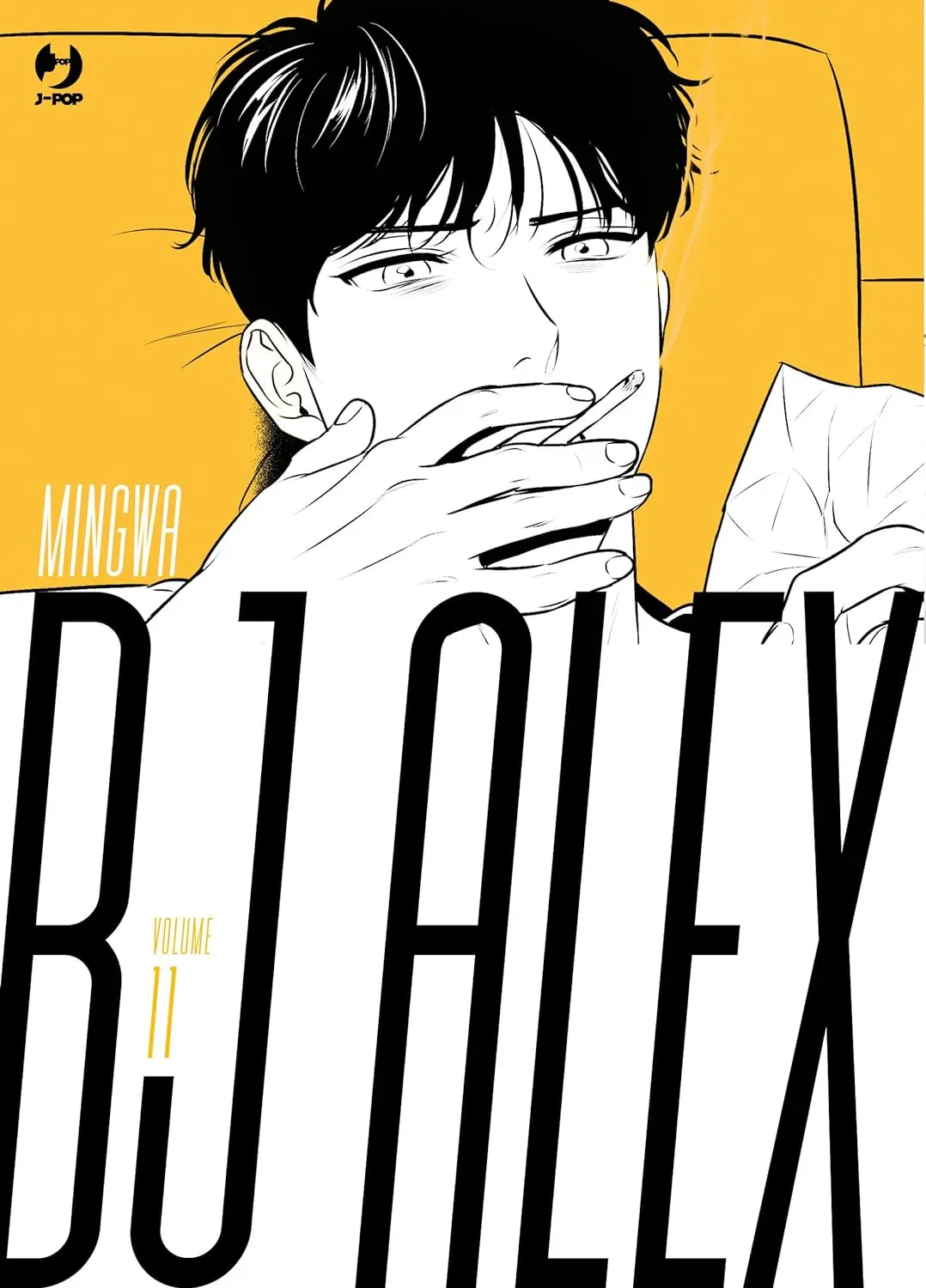 Volume cover